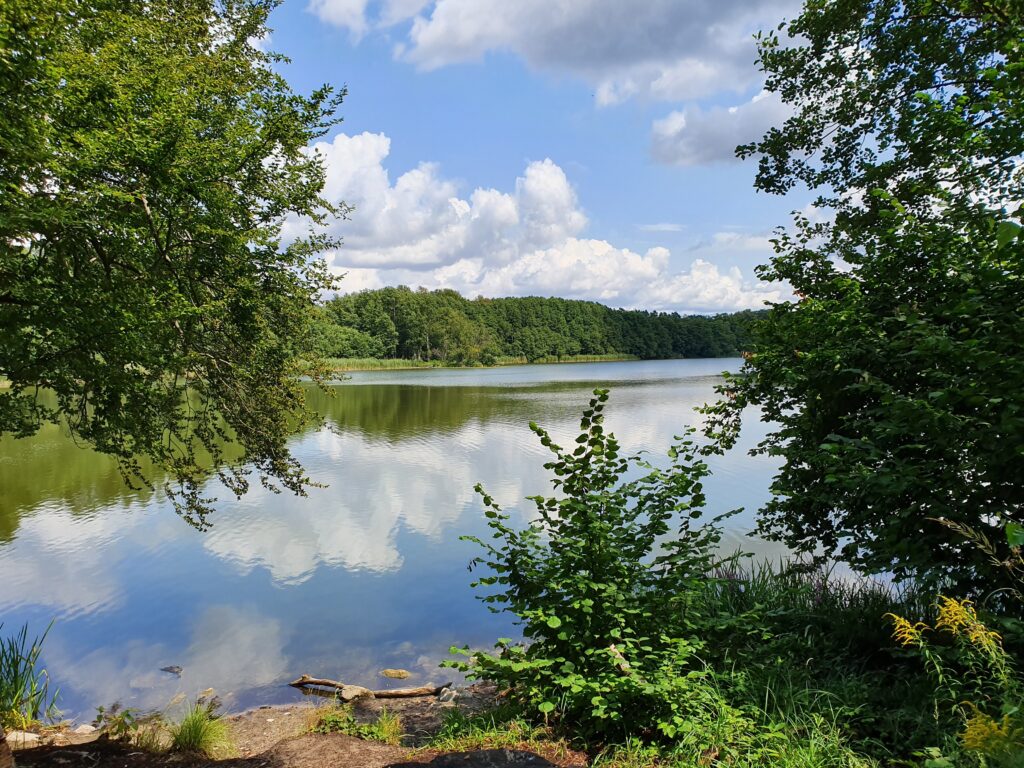 Ruhiger Amtssee bei Chorin mit bewaldetem Ufer, spiegelnder Wasserfläche, grüner Natur und wolkenreichem Himmel